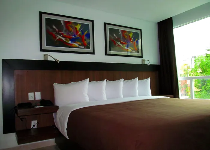 Hotel & Pf Mexico City